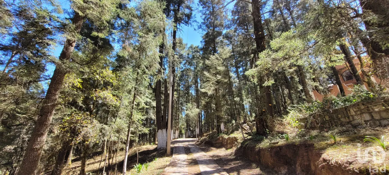 Terreno en Venta en Bosques de San Cayetano, Mineral del Monte, Hidalgo | NEX-146357 | iad México | Foto 2 de 39
