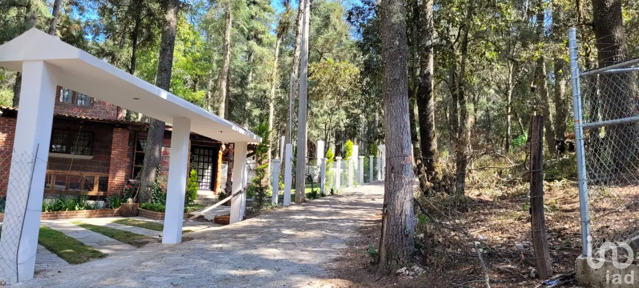 Terreno en Venta en Bosques de San Cayetano, Mineral del Monte, Hidalgo | NEX-146357 | iad México | Foto 33 de 39