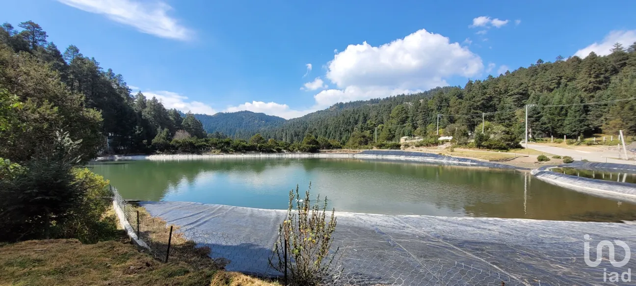 Terreno en Venta en Bosques de San Cayetano, Mineral del Monte, Hidalgo | NEX-146357 | iad México | Foto 39 de 39