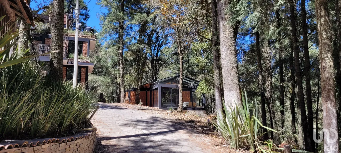 Terreno en Venta en Bosques de San Cayetano, Mineral del Monte, Hidalgo | NEX-146357 | iad México | Foto 15 de 39