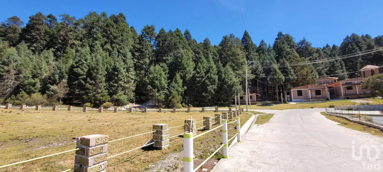 Terreno en Venta en Bosques de San Cayetano, Mineral del Monte, Hidalgo | NEX-146357 | iad México | Foto 22 de 39
