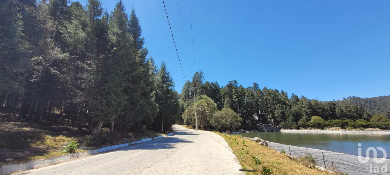 Terreno en Venta en Bosques de San Cayetano, Mineral del Monte, Hidalgo | NEX-146357 | iad México | Foto 19 de 39