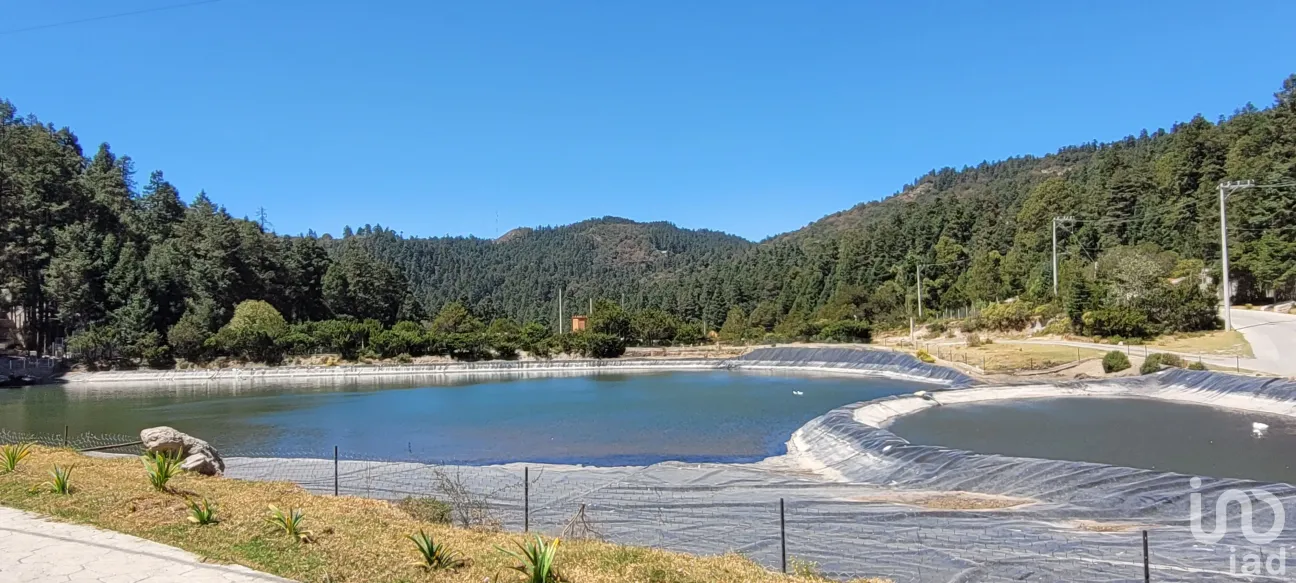 Terreno en Venta en Bosques de San Cayetano, Mineral del Monte, Hidalgo | NEX-146357 | iad México | Foto 18 de 39