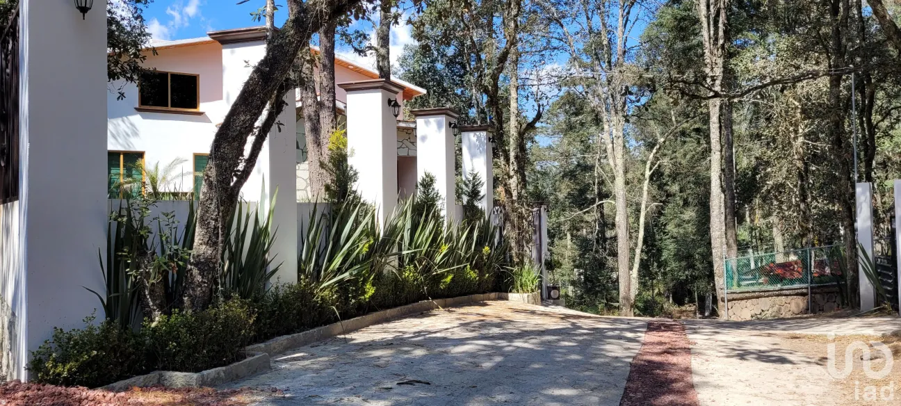 Terreno en Venta en Bosques de San Cayetano, Mineral del Monte, Hidalgo | NEX-146357 | iad México | Foto 34 de 39