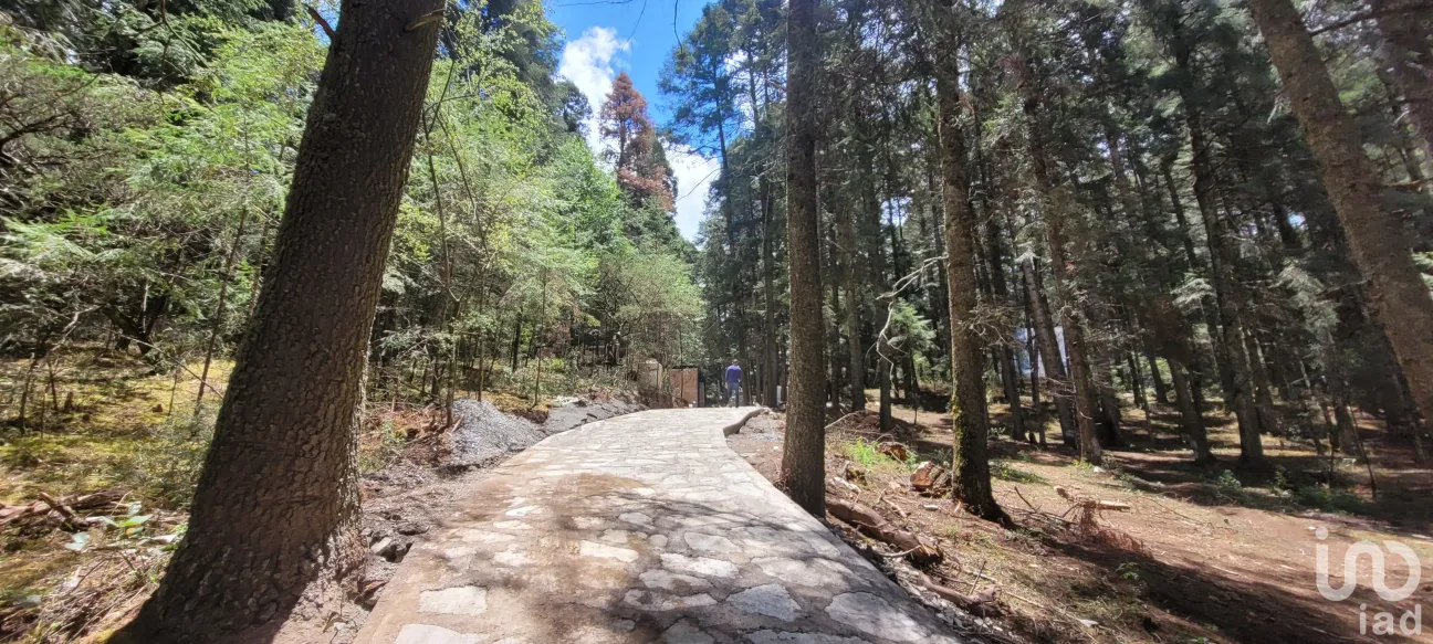 Terreno en Venta en Bosques de San Cayetano, Mineral del Monte, Hidalgo | NEX-146357 | iad México | Foto 5 de 39
