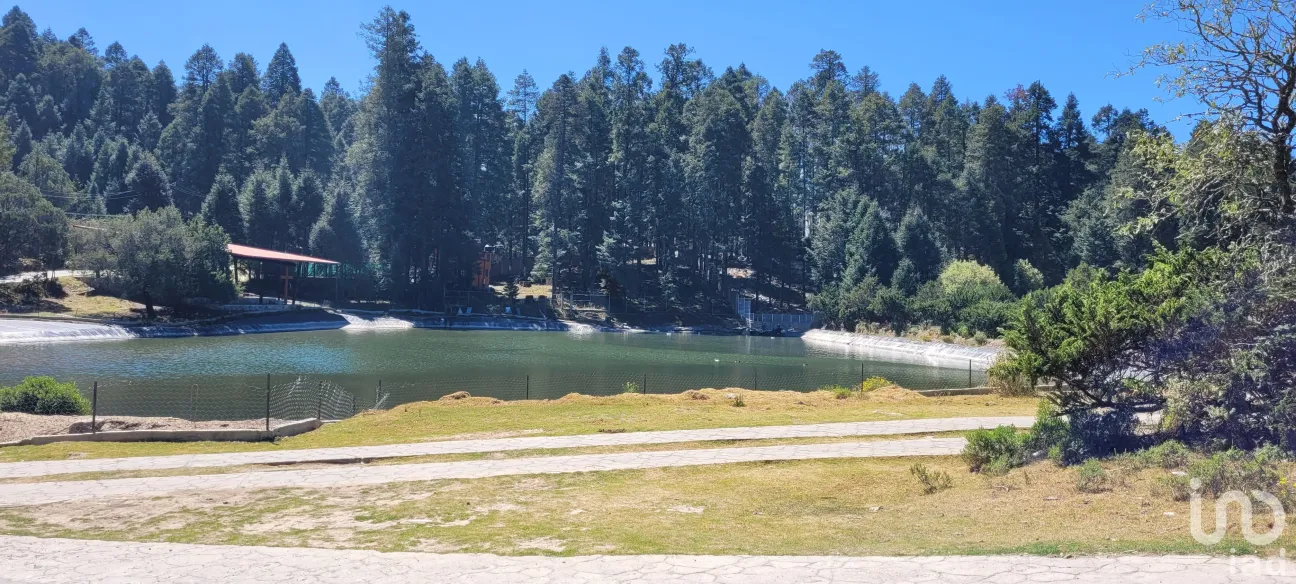 Terreno en Venta en Bosques de San Cayetano, Mineral del Monte, Hidalgo | NEX-146357 | iad México | Foto 24 de 39