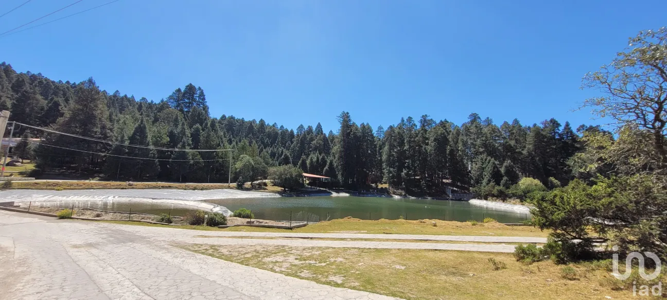 Terreno en Venta en Bosques de San Cayetano, Mineral del Monte, Hidalgo | NEX-146357 | iad México | Foto 23 de 39
