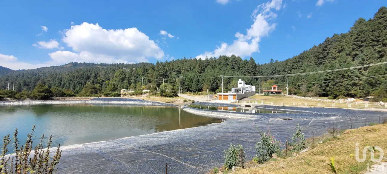 Terreno en Venta en Bosques de San Cayetano, Mineral del Monte, Hidalgo | NEX-146357 | iad México | Foto 38 de 39