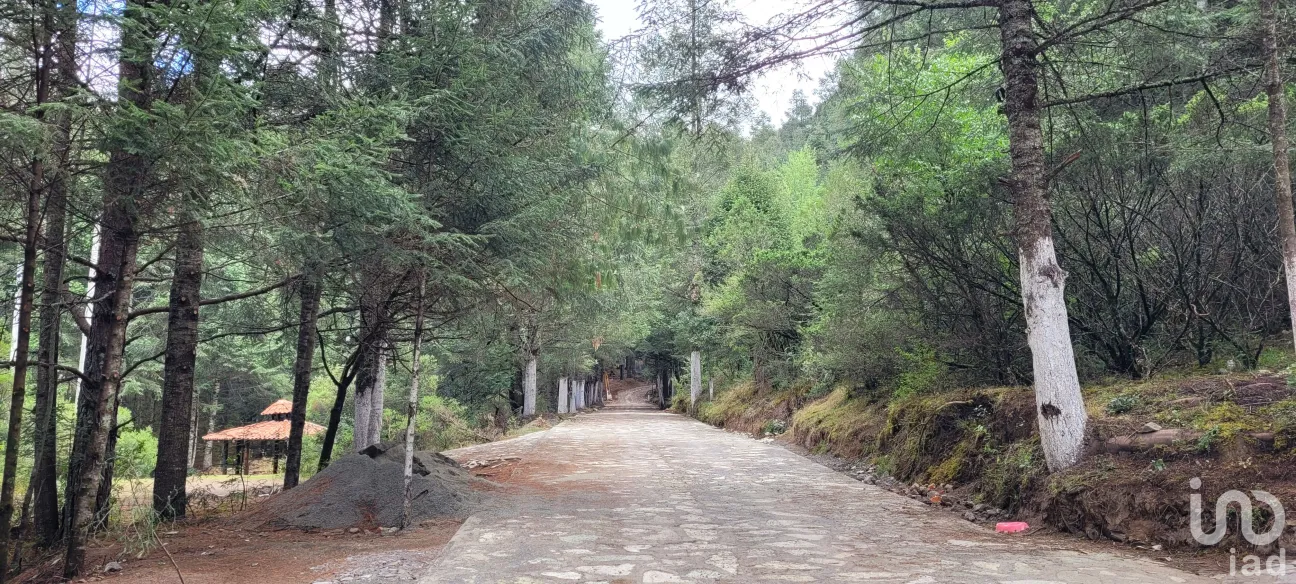 Terreno en Venta en Bosques de San Cayetano, Mineral del Monte, Hidalgo | NEX-146357 | iad México | Foto 6 de 39
