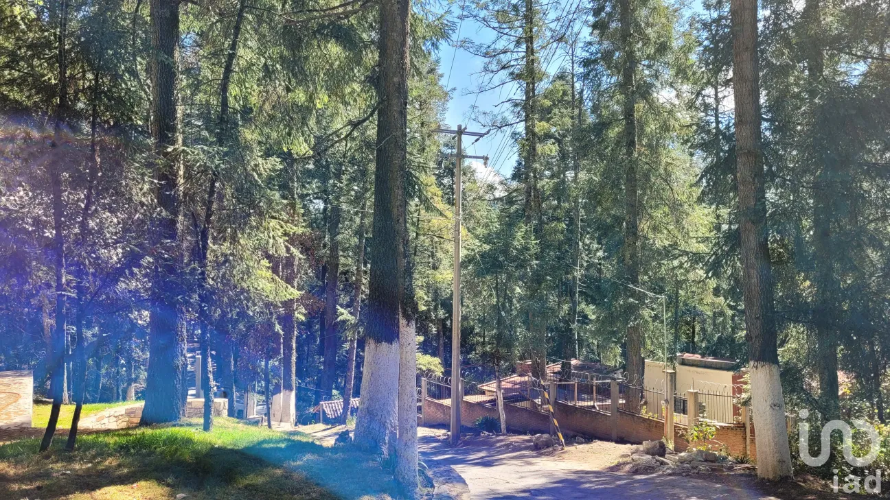 Terreno en Venta en Bosques de San Cayetano, Mineral del Monte, Hidalgo | NEX-146357 | iad México | Foto 30 de 39