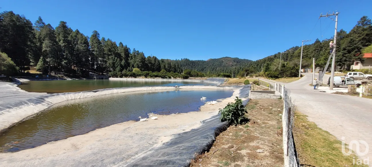 Terreno en Venta en Bosques de San Cayetano, Mineral del Monte, Hidalgo | NEX-146357 | iad México | Foto 21 de 39