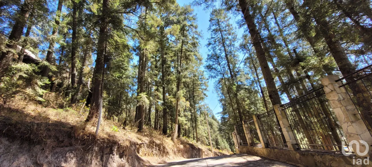 Terreno en Venta en Bosques de San Cayetano, Mineral del Monte, Hidalgo | NEX-146357 | iad México | Foto 27 de 39