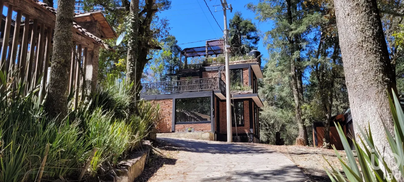 Terreno en Venta en Bosques de San Cayetano, Mineral del Monte, Hidalgo | NEX-146357 | iad México | Foto 3 de 39