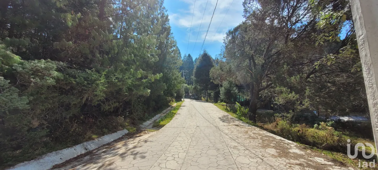 Terreno en Venta en Bosques de San Cayetano, Mineral del Monte, Hidalgo | NEX-146357 | iad México | Foto 35 de 39