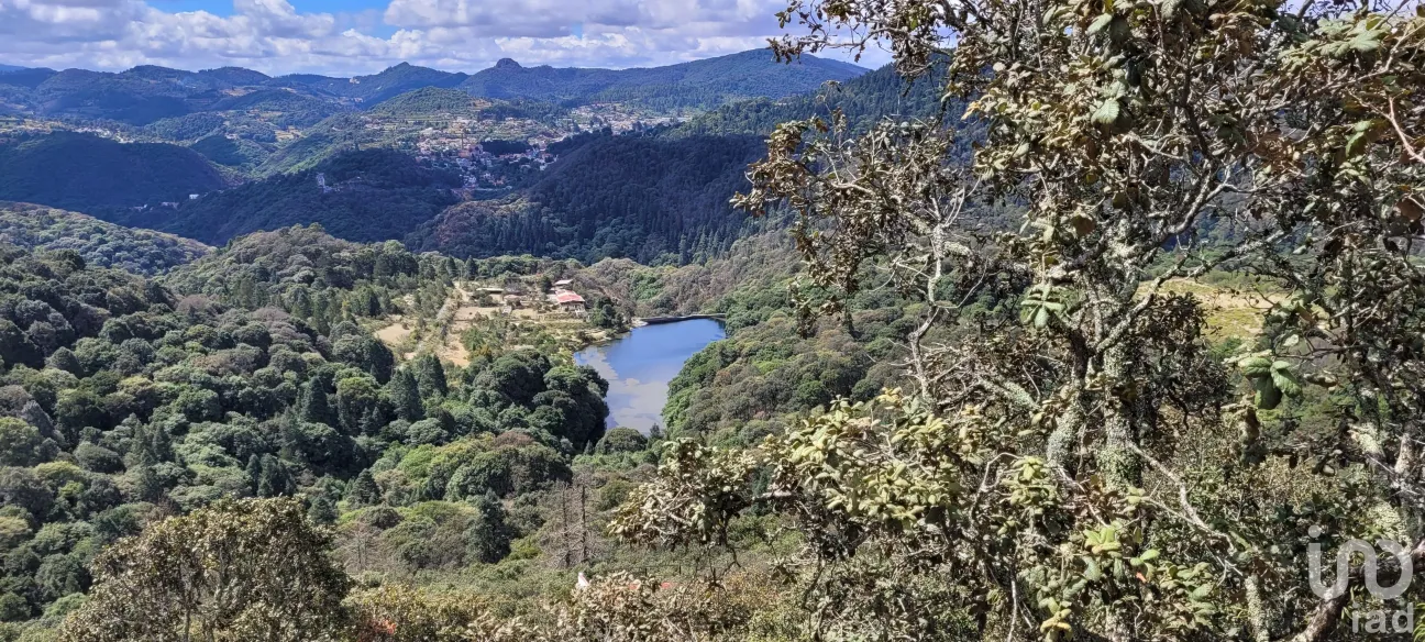 Terreno en Venta en Bosques de San Cayetano, Mineral del Monte, Hidalgo | NEX-146357 | iad México | Foto 11 de 39
