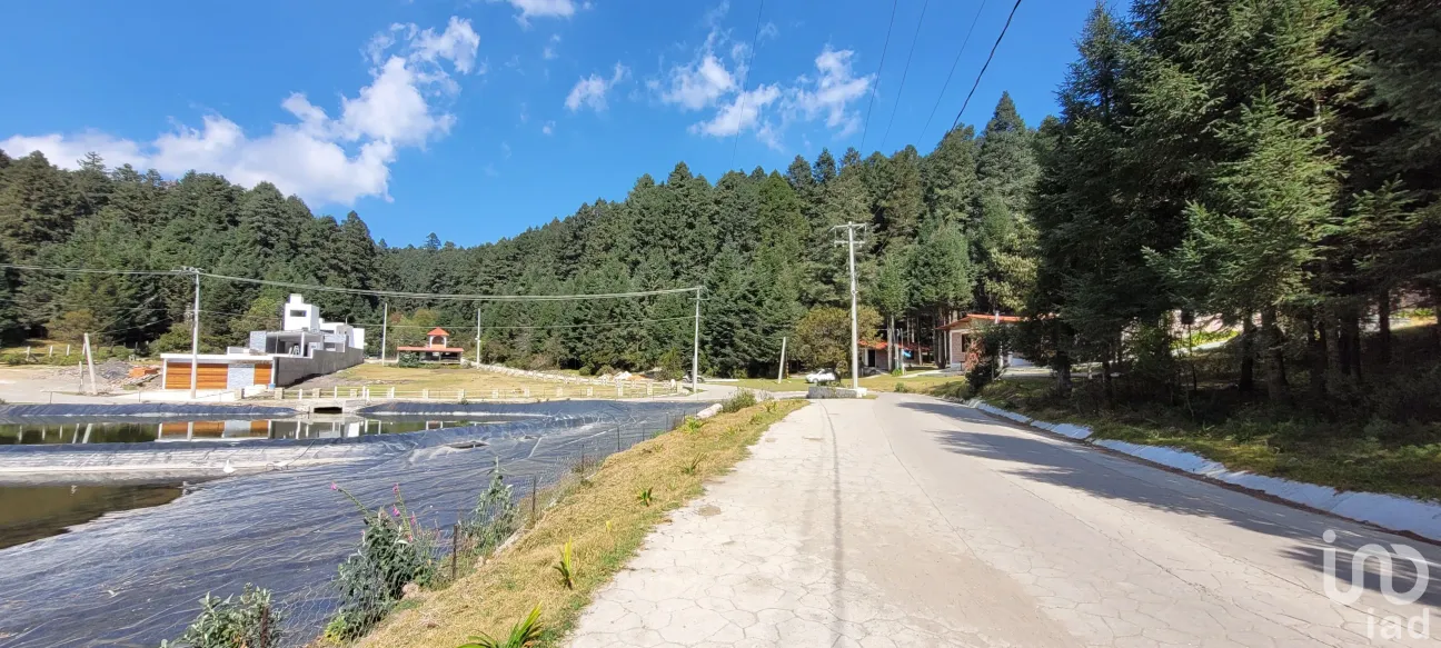 Terreno en Venta en Bosques de San Cayetano, Mineral del Monte, Hidalgo | NEX-146357 | iad México | Foto 37 de 39