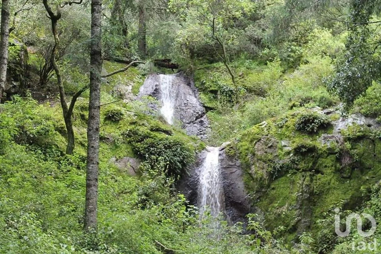 Terreno en Venta en Bosques de San Cayetano, Mineral del Monte, Hidalgo | NEX-146368 | iad México | Foto 6 de 12