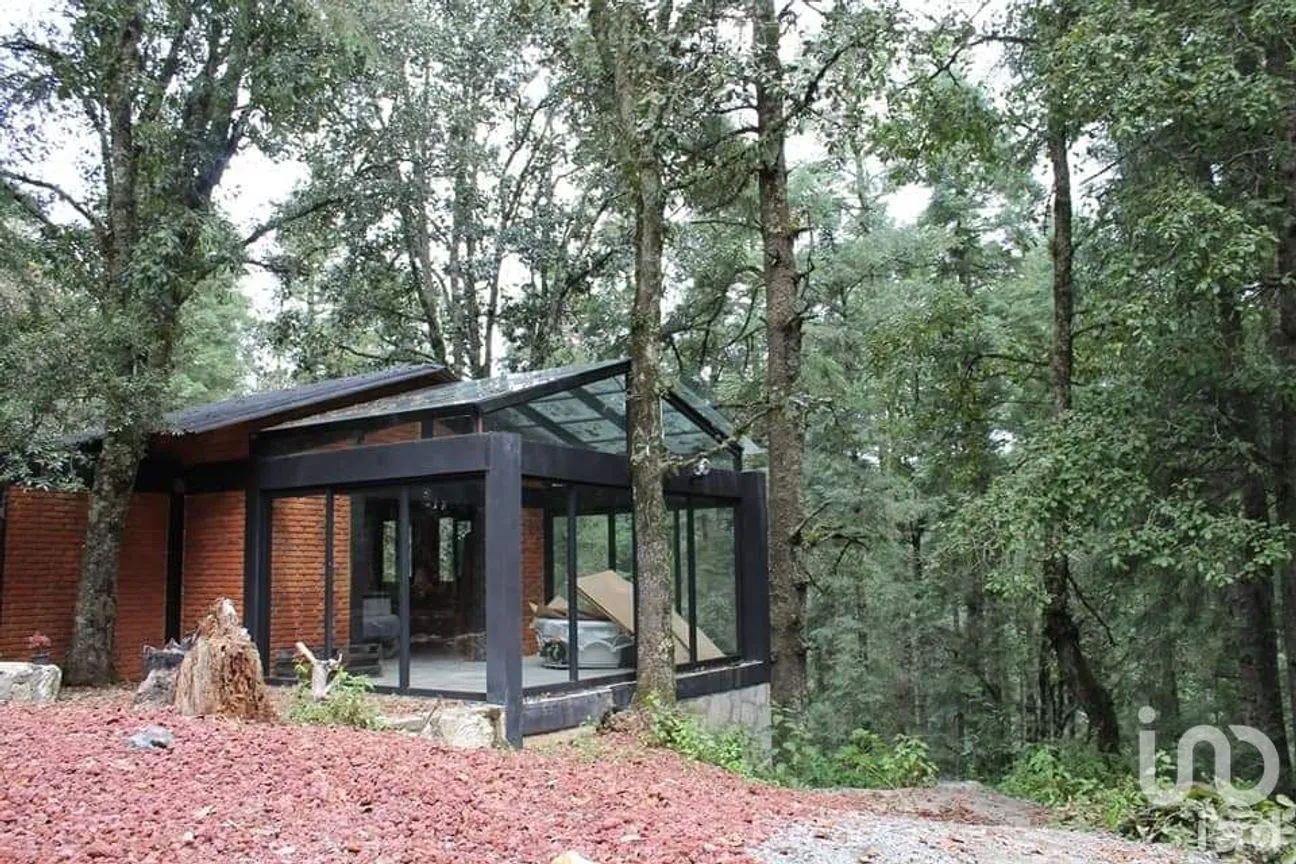 Terreno en Venta en Bosques de San Cayetano, Mineral del Monte, Hidalgo | NEX-146368 | iad México | Foto 7 de 12