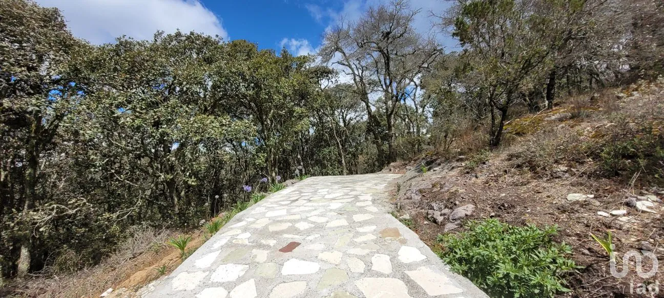 Terreno en Venta en Bosques de San Cayetano, Mineral del Monte, Hidalgo | NEX-146368 | iad México | Foto 4 de 12