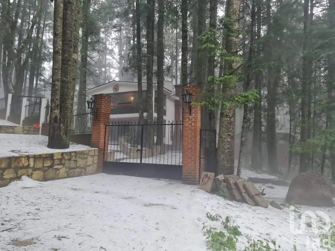Terreno en Venta en Bosques de San Cayetano, Mineral del Monte, Hidalgo | NEX-146368 | iad México | Foto 10 de 12