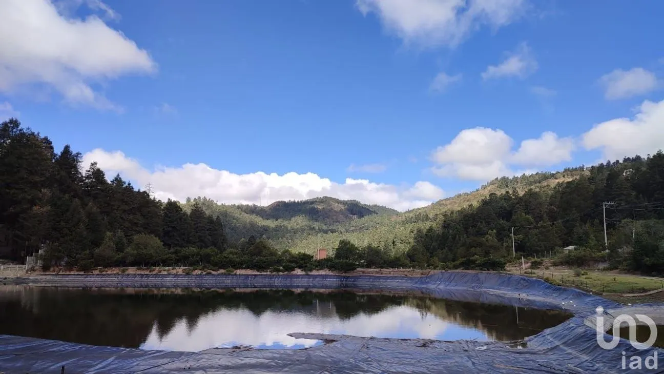 Terreno en Venta en Bosques de San Cayetano, Mineral del Monte, Hidalgo | NEX-146368 | iad México | Foto 12 de 12