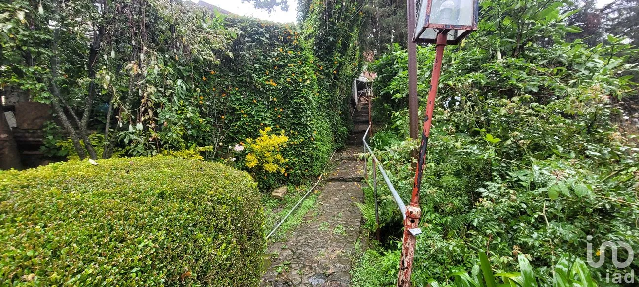 Terreno en Venta en Lo de Sánchez, Mineral del Chico, Hidalgo | NEX-156426 | iad México | Foto 4 de 25