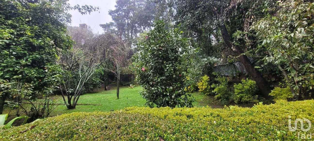 Terreno en Venta en Lo de Sánchez, Mineral del Chico, Hidalgo | NEX-156426 | iad México | Foto 5 de 25