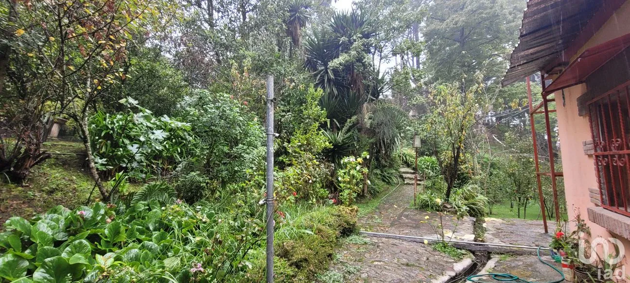 Terreno en Venta en Lo de Sánchez, Mineral del Chico, Hidalgo | NEX-156426 | iad México | Foto 7 de 25