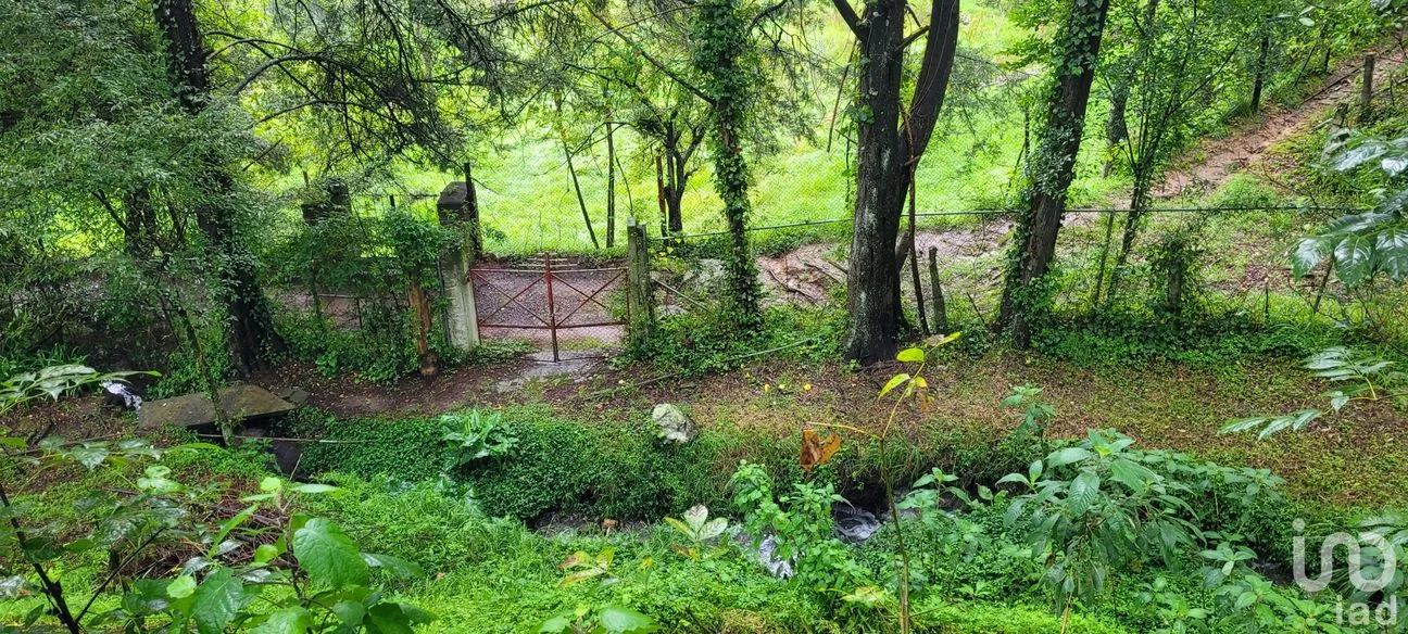 Terreno en Venta en Lo de Sánchez, Mineral del Chico, Hidalgo | NEX-156426 | iad México | Foto 8 de 25