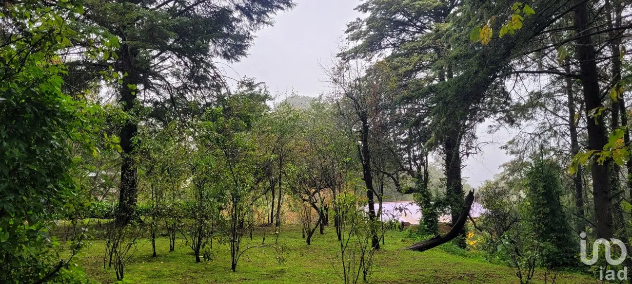 Terreno en Venta en Lo de Sánchez, Mineral del Chico, Hidalgo | NEX-156426 | iad México | Foto 9 de 25