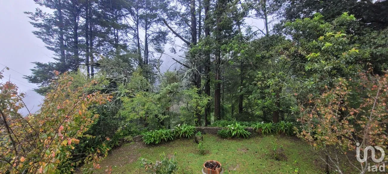 Terreno en Venta en Lo de Sánchez, Mineral del Chico, Hidalgo | NEX-156426 | iad México | Foto 1 de 25