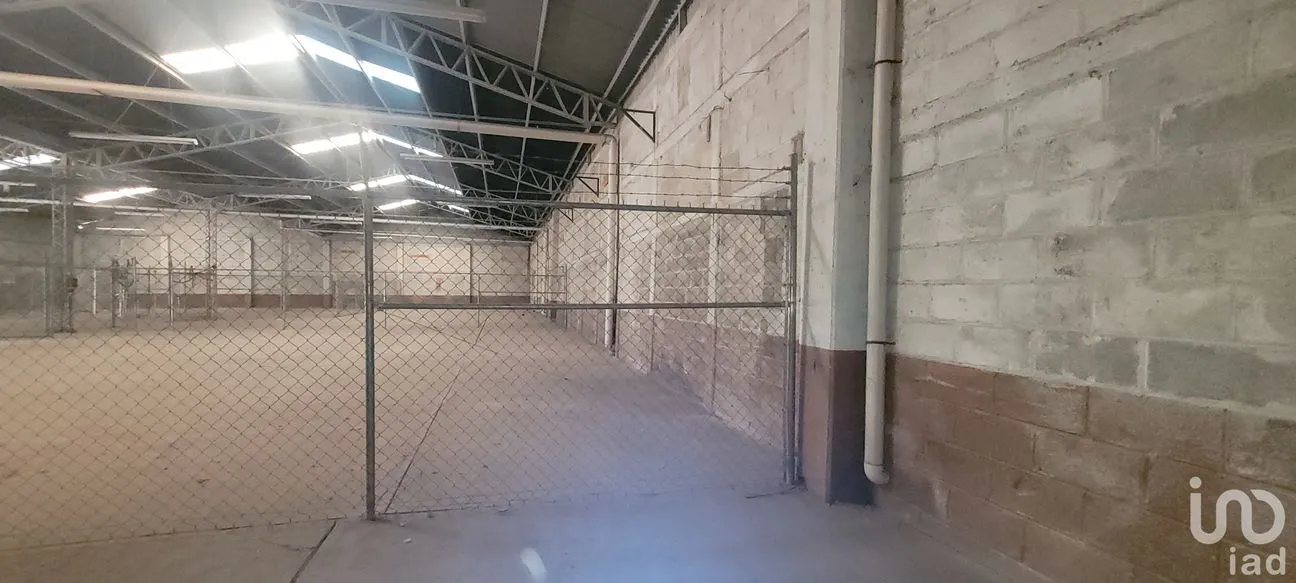 Bodega en Renta en Industrial la Paz, Mineral de la Reforma, Hidalgo | NEX-170477 | iad México | Foto 11 de 19