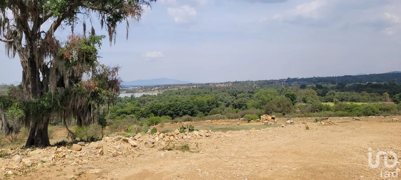 Terreno en Venta en San Miguel Regla, Huasca de Ocampo, Hidalgo | NEX-170866 | iad México | Foto 8 de 14