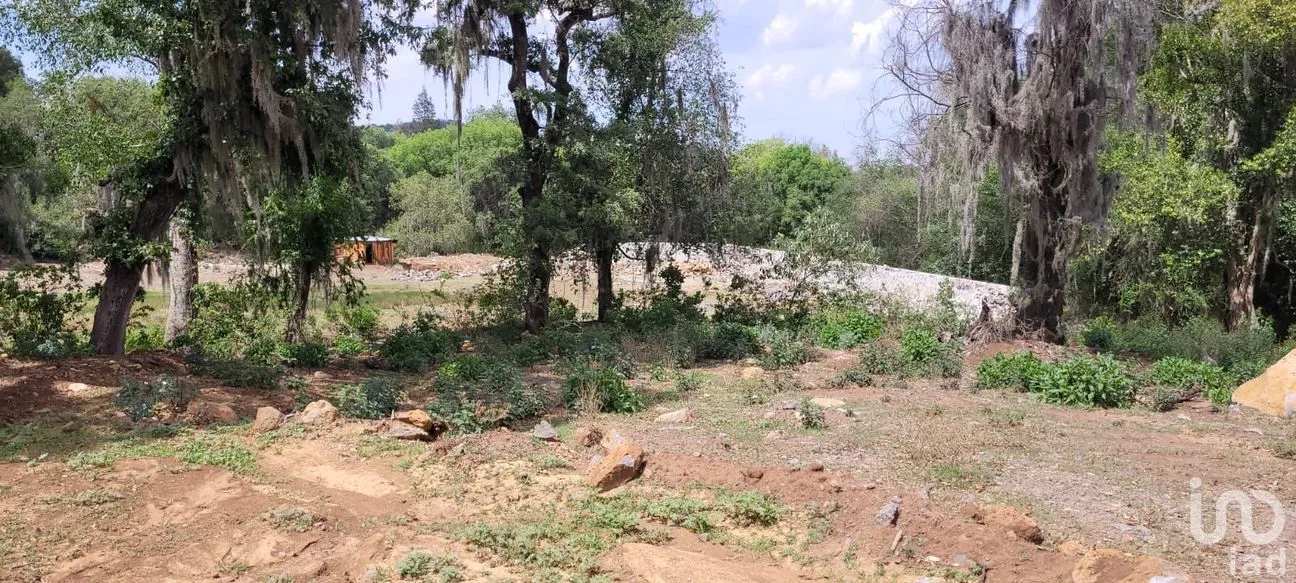 Terreno en Venta en San Miguel Regla, Huasca de Ocampo, Hidalgo | NEX-170866 | iad México | Foto 5 de 14