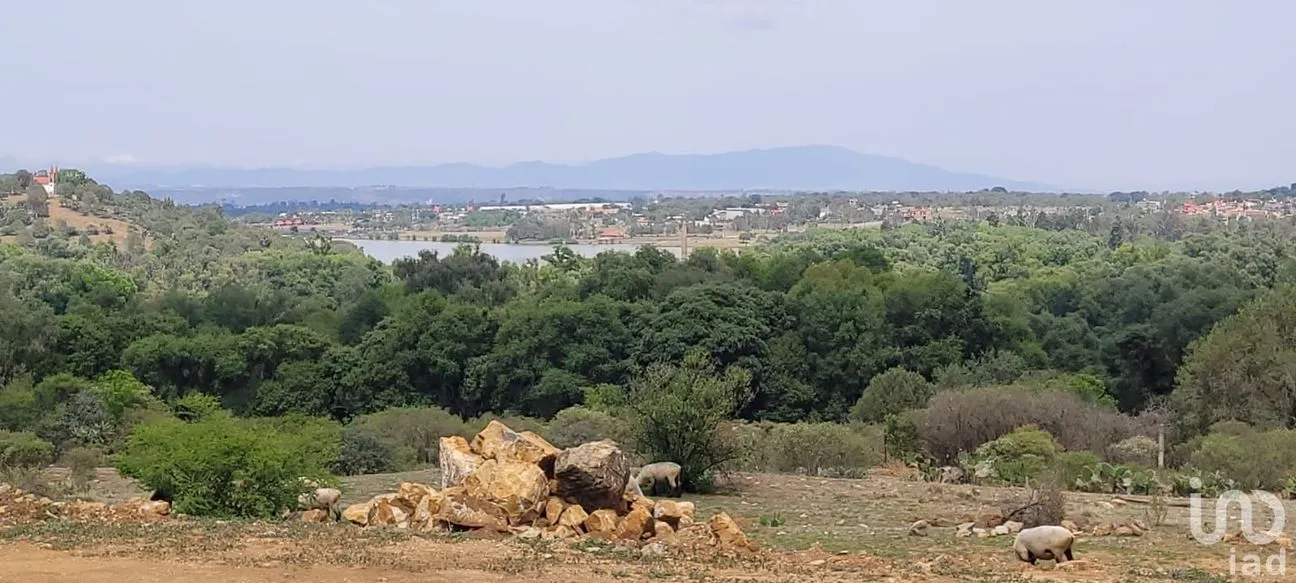 Terreno en Venta en San Miguel Regla, Huasca de Ocampo, Hidalgo | NEX-170866 | iad México | Foto 6 de 14