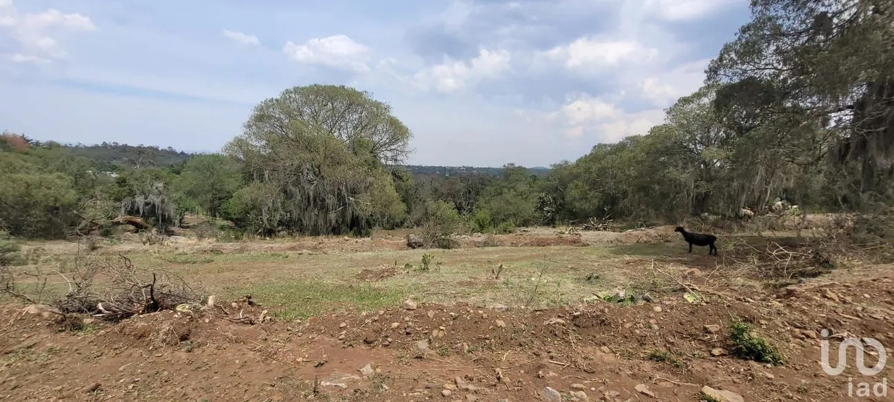 Terreno en Venta en San Miguel Regla, Huasca de Ocampo, Hidalgo | NEX-170866 | iad México | Foto 12 de 14