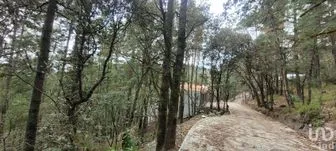 NEX-212557 - Terreno en Venta en Bosques de San Cayetano, CP 42144, Hidalgo.