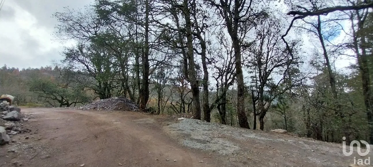 Terreno en Venta en Bosques de San Cayetano, Mineral del Monte, Hidalgo | NEX-218290 | iad México | Foto 2 de 8