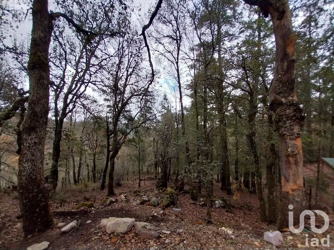 Terreno en Venta en Bosques de San Cayetano, Mineral del Monte, Hidalgo | NEX-218290 | iad México | Foto 3 de 8