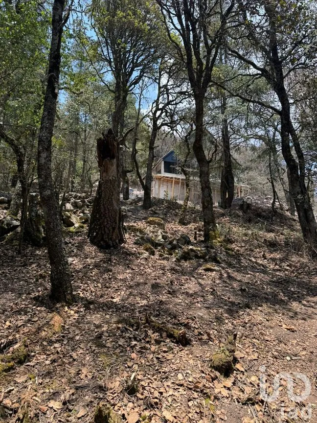Terreno en Venta en Bosques de San Cayetano, Mineral del Monte, Hidalgo | NEX-218290 | iad México | Foto 6 de 8