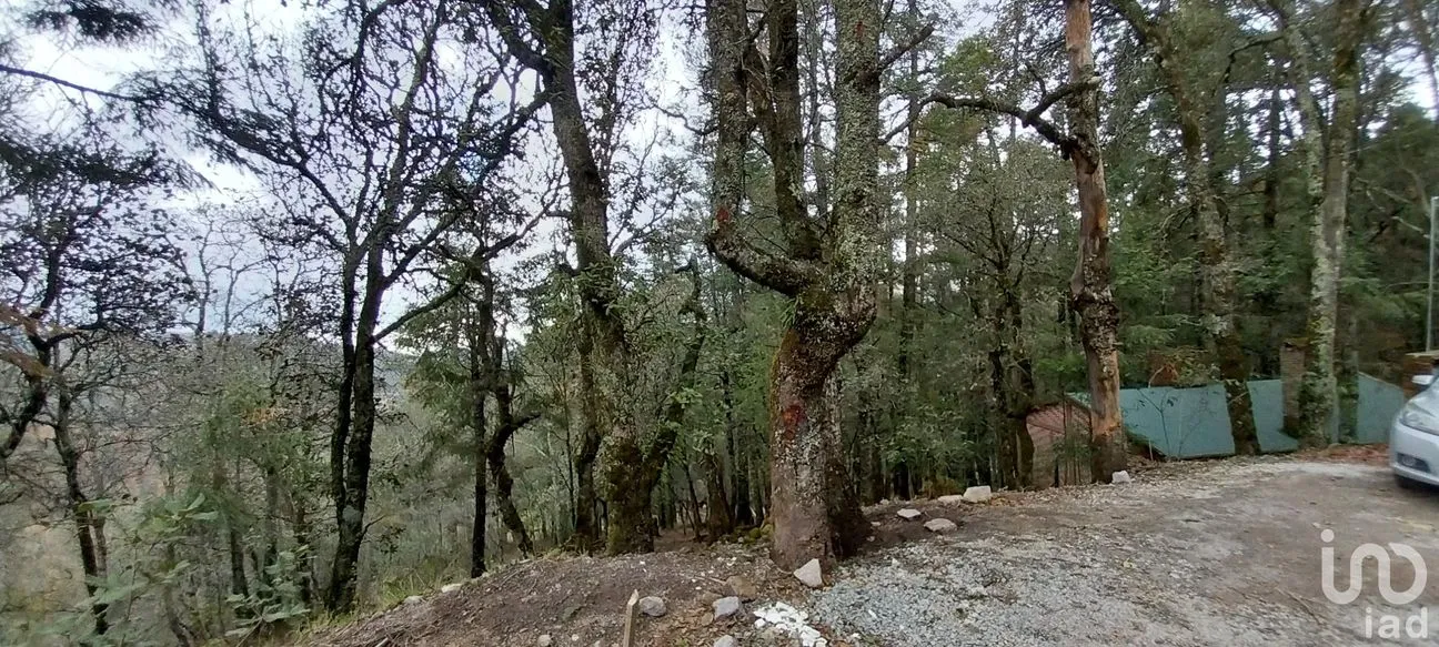 Terreno en Venta en Bosques de San Cayetano, Mineral del Monte, Hidalgo | NEX-218290 | iad México | Foto 1 de 8