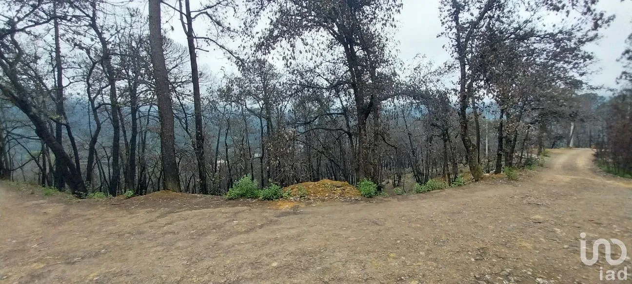 Terreno en Venta en La Sierra, Mineral del Chico, Hidalgo | NEX-235502 | iad México | Foto 2 de 9