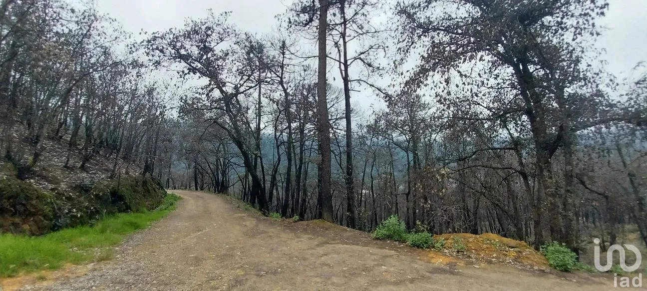 Terreno en Venta en La Sierra, Mineral del Chico, Hidalgo | NEX-235502 | iad México | Foto 3 de 9