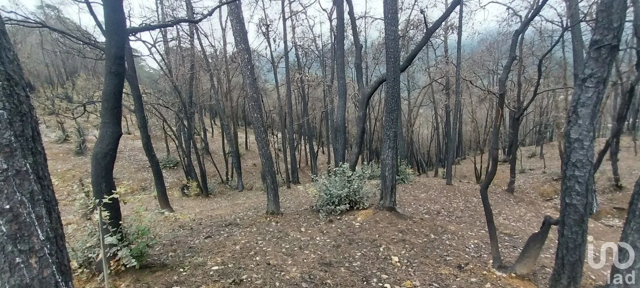 Terreno en Venta en La Sierra, Mineral del Chico, Hidalgo | NEX-235502 | iad México | Foto 6 de 9