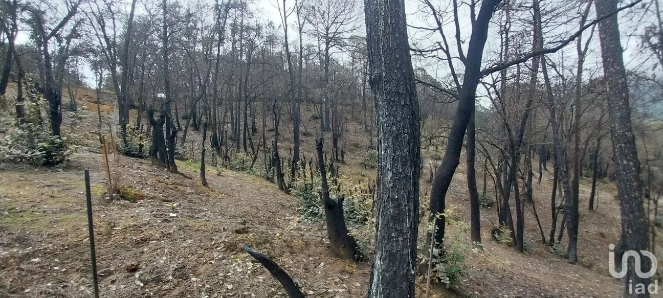 Terreno en Venta en La Sierra, Mineral del Chico, Hidalgo | NEX-235502 | iad México | Foto 7 de 9