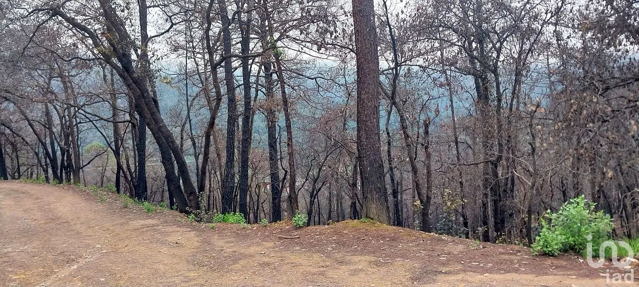 Terreno en Venta en La Sierra, Mineral del Chico, Hidalgo | NEX-235502 | iad México | Foto 9 de 9