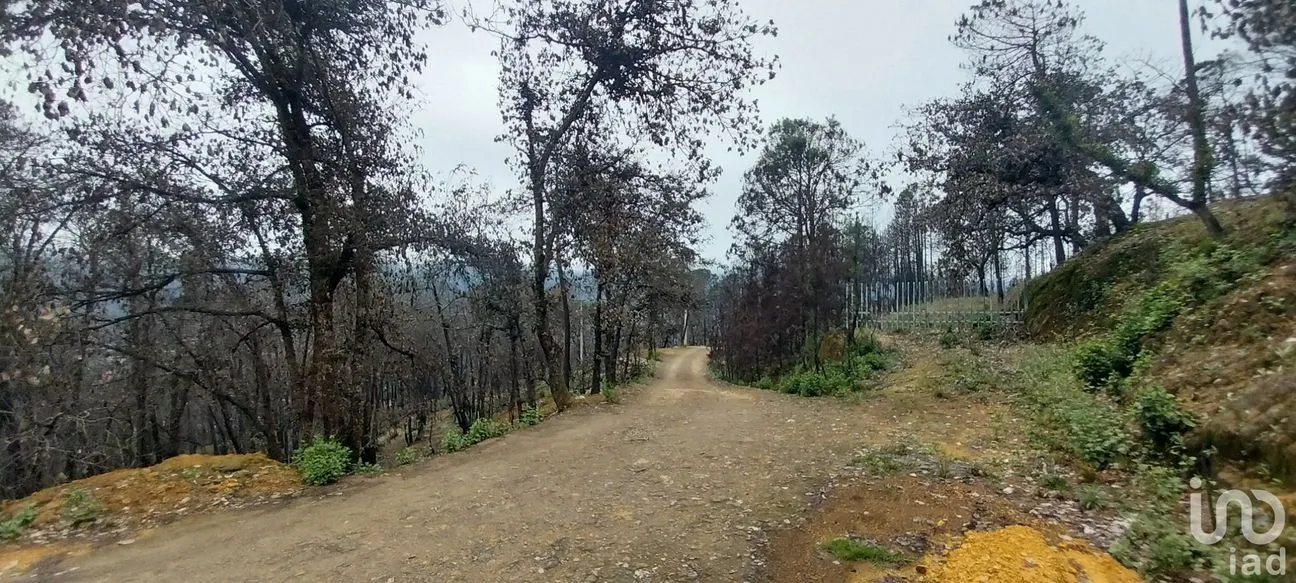 Terreno en Venta en La Sierra, Mineral del Chico, Hidalgo | NEX-235502 | iad México | Foto 1 de 9