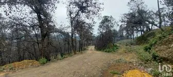NEX-235502 - Terreno en Venta en La Sierra, CP 42120, Hidalgo.