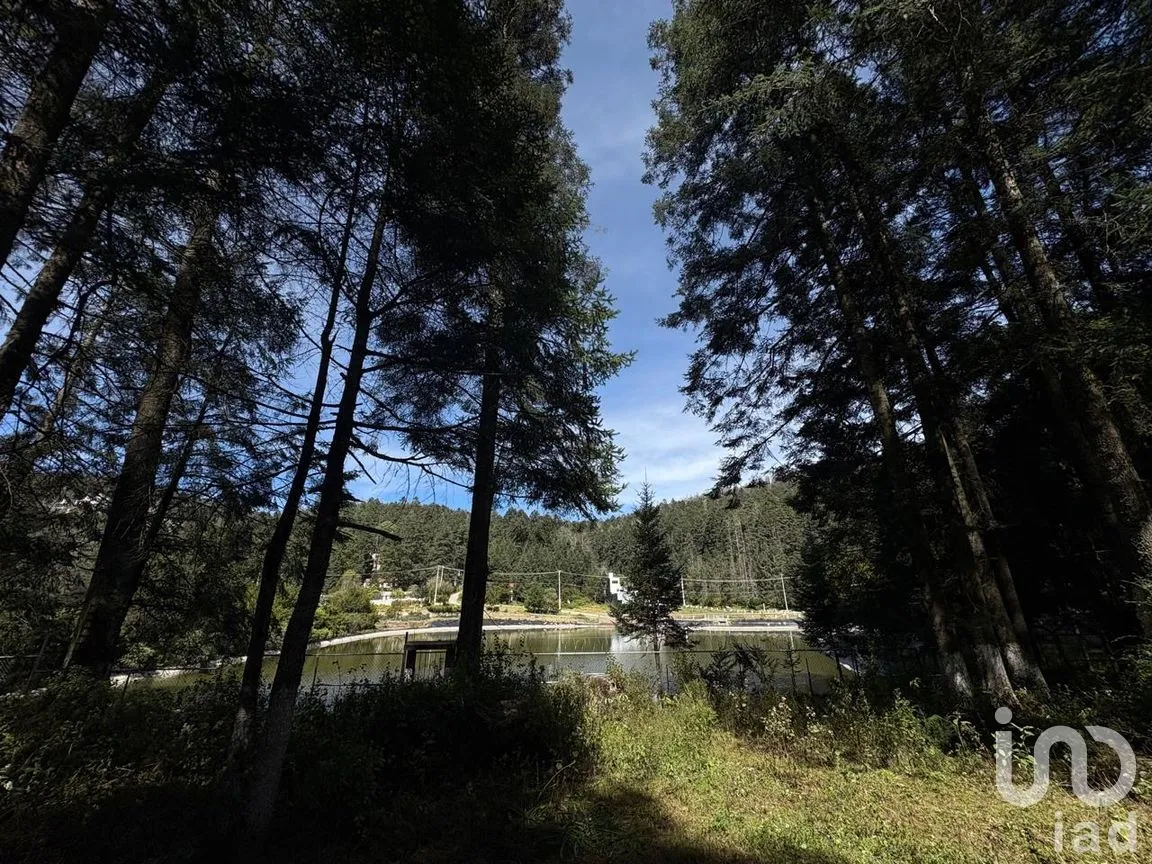 Terreno en Venta en Bosques de San Cayetano, Mineral del Monte, Hidalgo | NEX-290131 | iad México | Foto 2 de 10