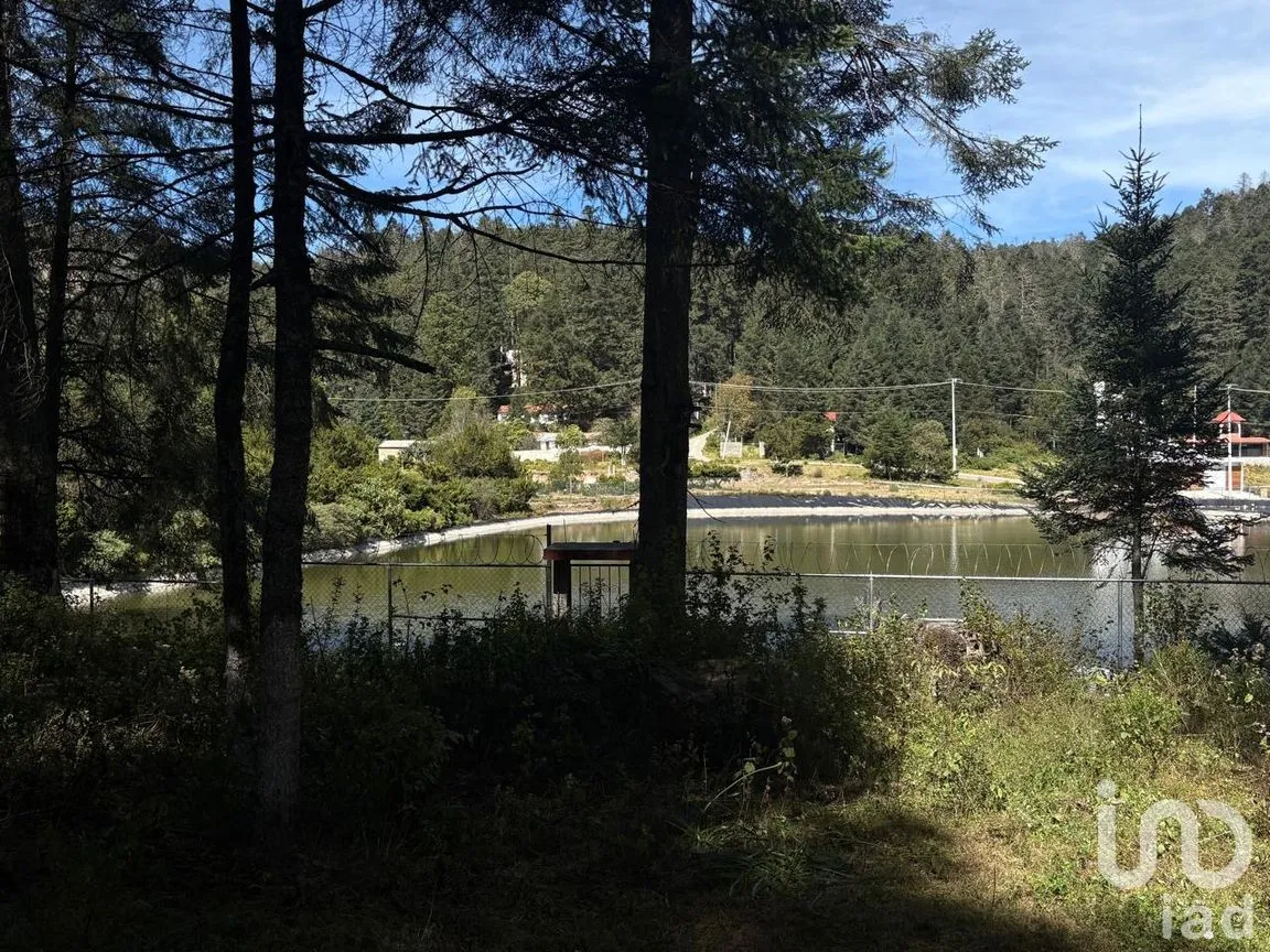 Terreno en Venta en Bosques de San Cayetano, Mineral del Monte, Hidalgo | NEX-290131 | iad México | Foto 4 de 10